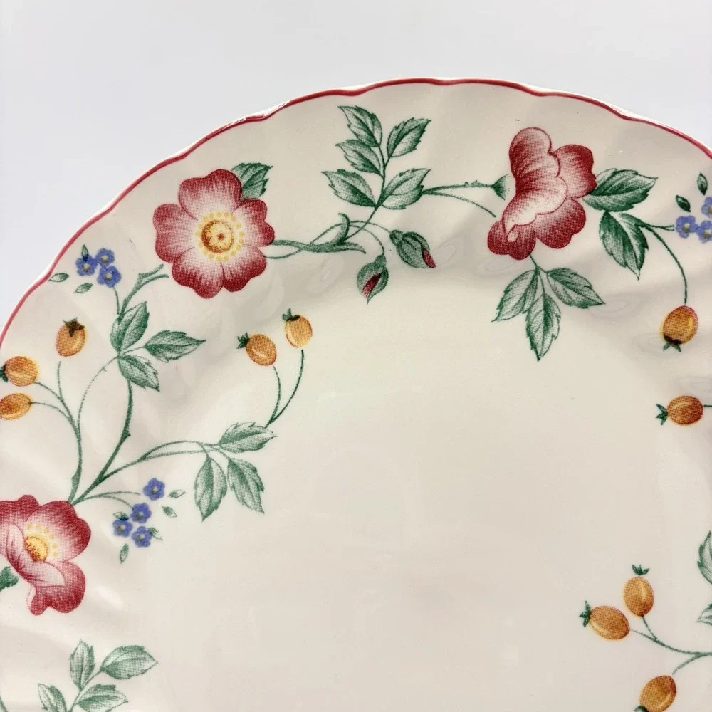 Churchill Staffordshire‎ Set of 2 Briar Rose Ironstone Floral 10